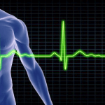 human torso with EKG lines floating in front of it
