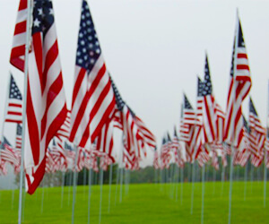 A green field with American flags.