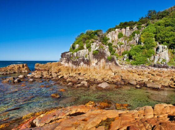 NINTCHDBPICT001041358628