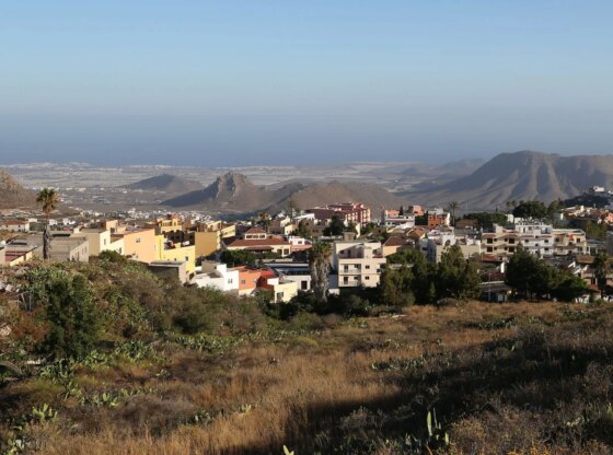 An image collage containing 1 images, Image 1 shows Arona