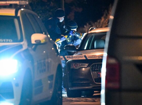 NINTCHDBPICT001046385348