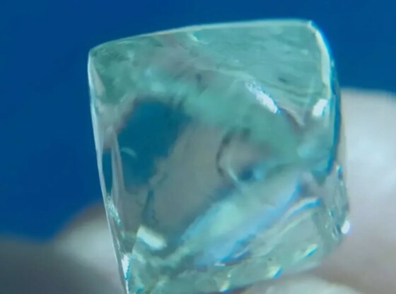 An image collage containing 1 images, Image 1 shows NINTCHDBPICT001046400480