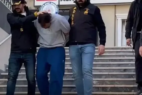 NINTCHDBPICT001048409439