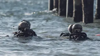 Navy Seals.