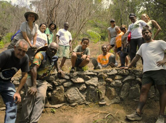 In addition to promoting the exchange of knowledge between residents, community organizers and volunteers, Tempo de Plantar’s (Time to Plant) action sought to ensure effective environmental recovery. Photo: Amanda Baroni