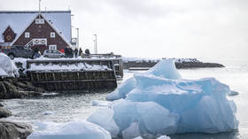 NATO members seeking to outmaneuver Trump on Greenland – media